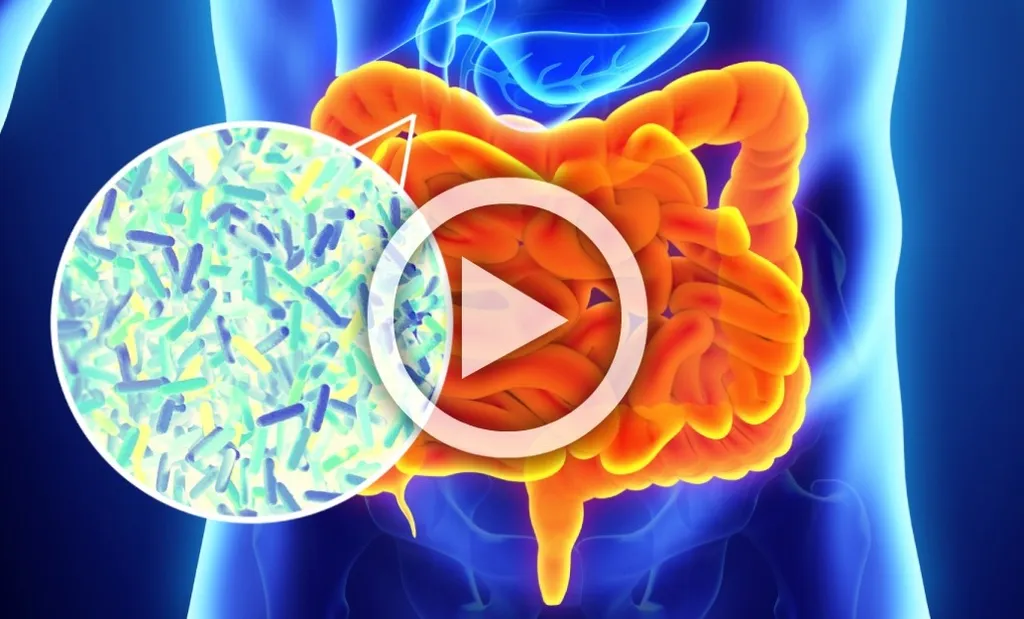 Bloating, Diarrhea, or Constipation? It's Not Your Fault, Watch This